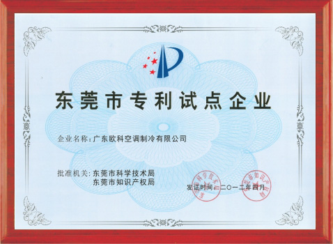 东莞市专利试点企业